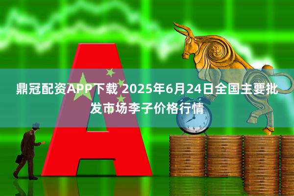 鼎冠配资APP下载 2025年6月24日全国主要批发市场李子价格行情