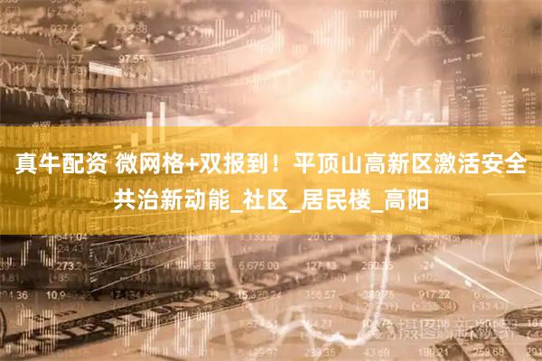 真牛配资 微网格+双报到！平顶山高新区激活安全共治新动能_社区_居民楼_高阳