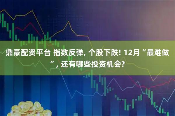 鼎豪配资平台 指数反弹, 个股下跌! 12月“最难做”, 还有哪些投资机会?