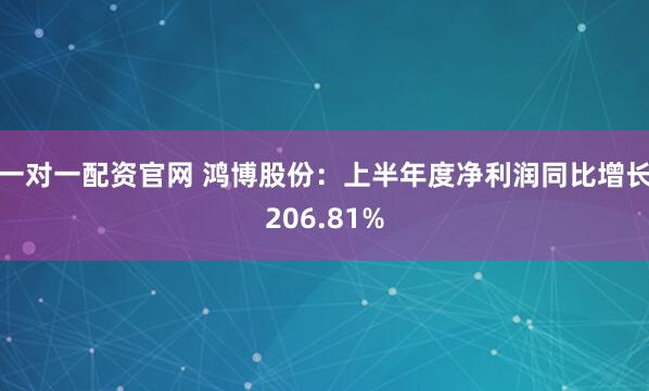 一对一配资官网 鸿博股份：上半年度净利润同比增长206.81%